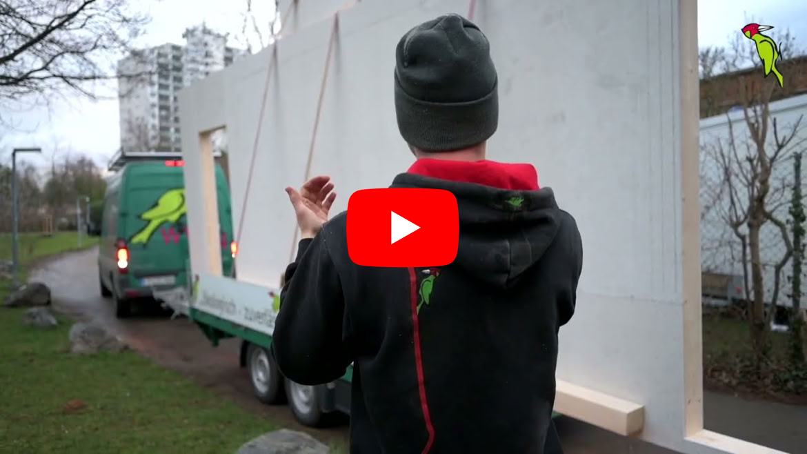 Video abspielen