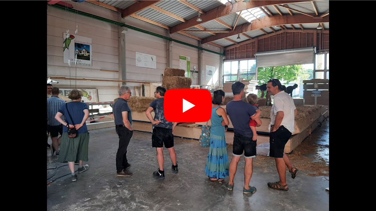 Video abspielen