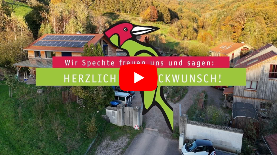 Video abspielen