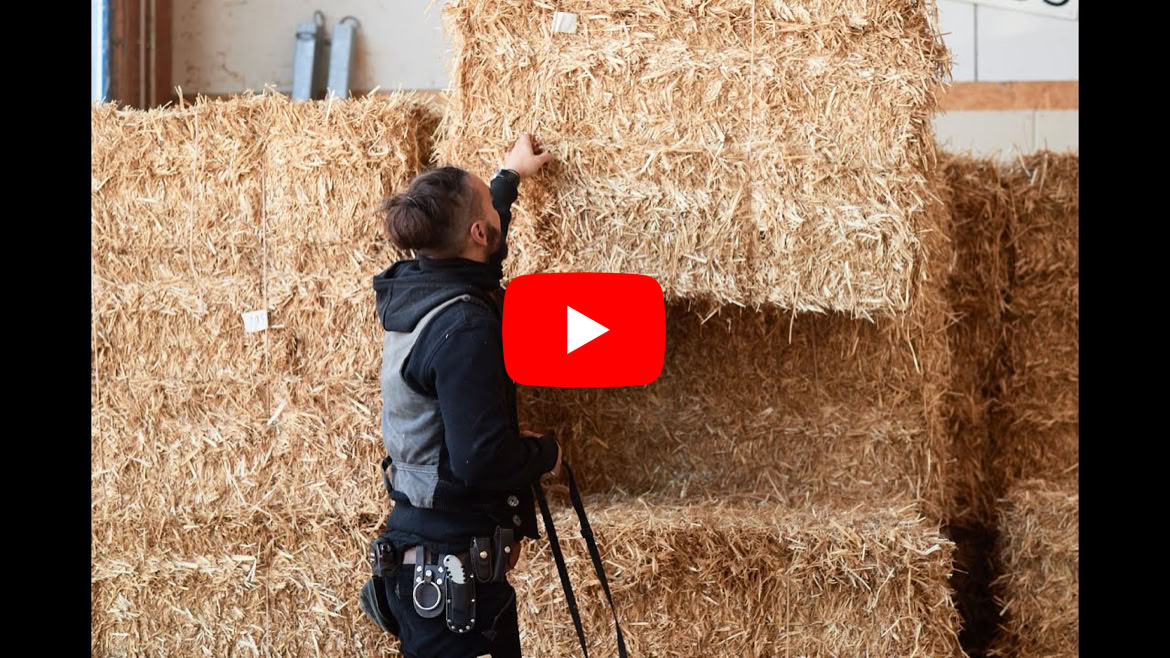 Video abspielen