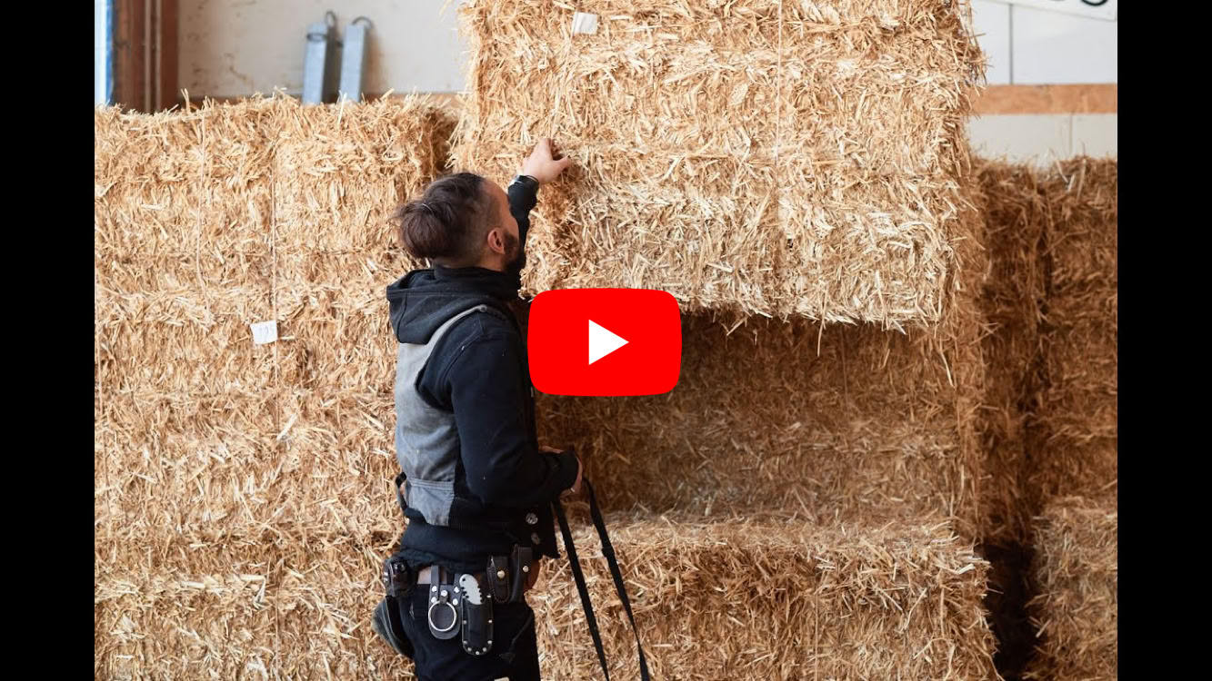 Video abspielen