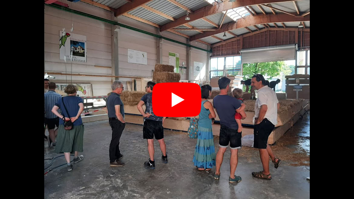 Video abspielen