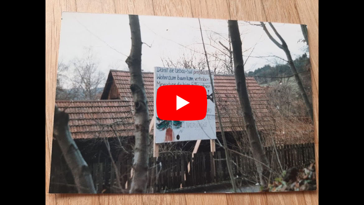 Video abspielen
